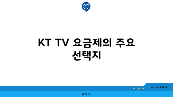 KT TV 요금제의 주요 선택지