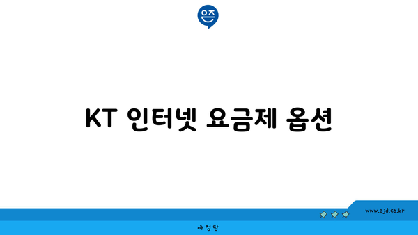 KT 인터넷 요금제 옵션