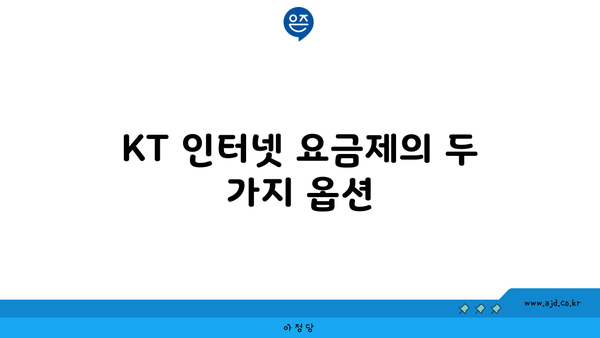 KT 인터넷 요금제의 두 가지 옵션