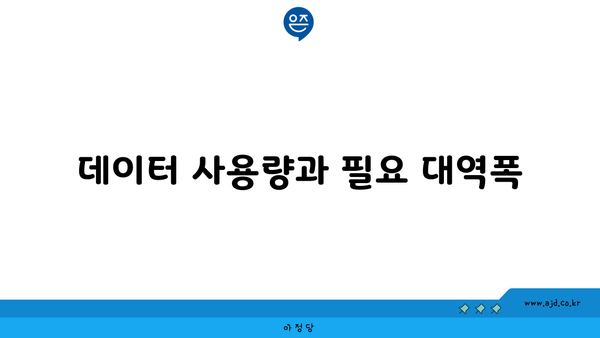 데이터 사용량과 필요 대역폭