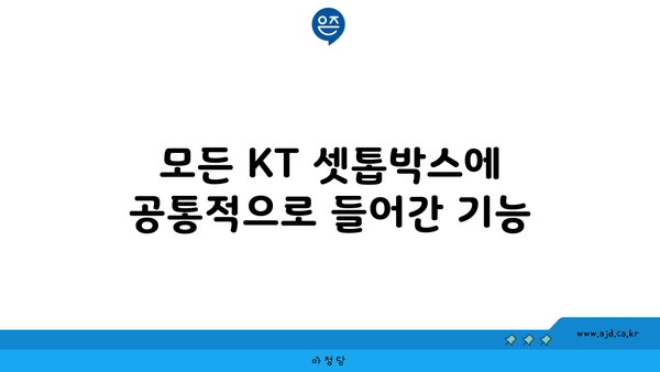 모든 KT 셋톱박스에 공통적으로 들어간 기능