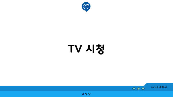 TV 시청