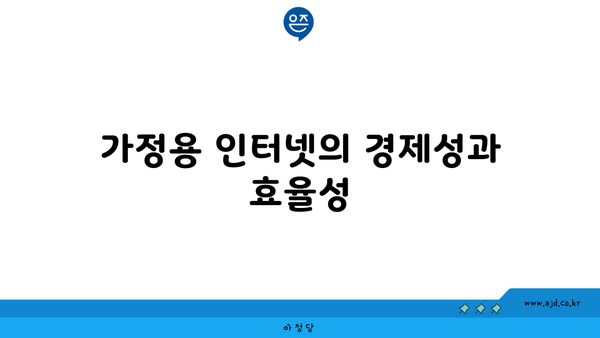 가정용 인터넷의 경제성과 효율성