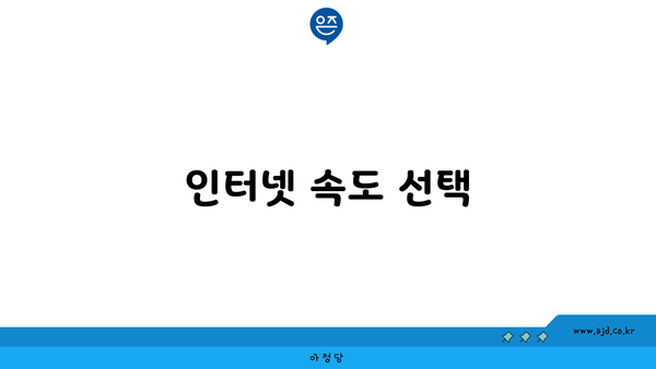 인터넷 속도 선택