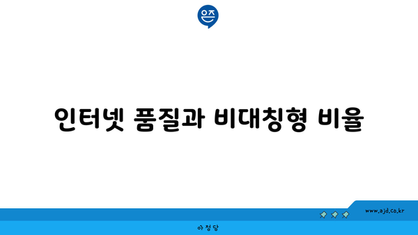 인터넷 품질과 비대칭형 비율