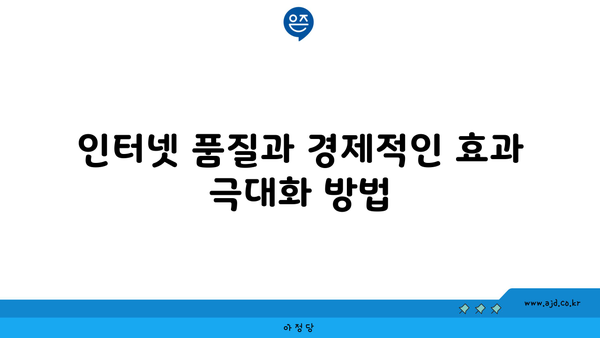 인터넷 품질과 경제적인 효과 극대화 방법