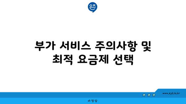 부가 서비스 주의사항 및 최적 요금제 선택