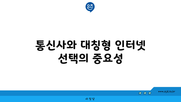 통신사와 대칭형 인터넷 선택의 중요성